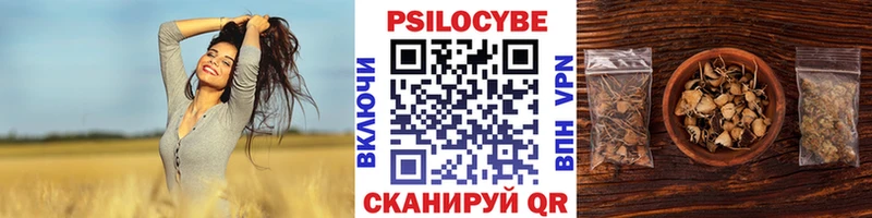 Псилоцибиновые грибы ЛСД  Купить где  Салехард 